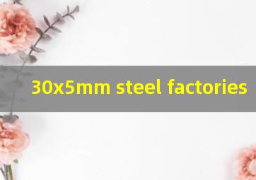  30x5mm steel factories